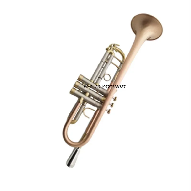 Musical Instrument Manufacturers - Der Hersteller Verkauft Kleine Musikinstrumente im