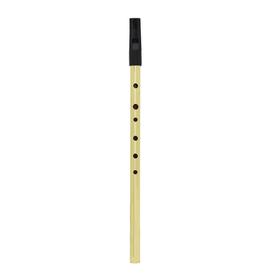 Irish Pfeife Sopran Flöte D To – Musical Instrument Irish Bewertung und Preis