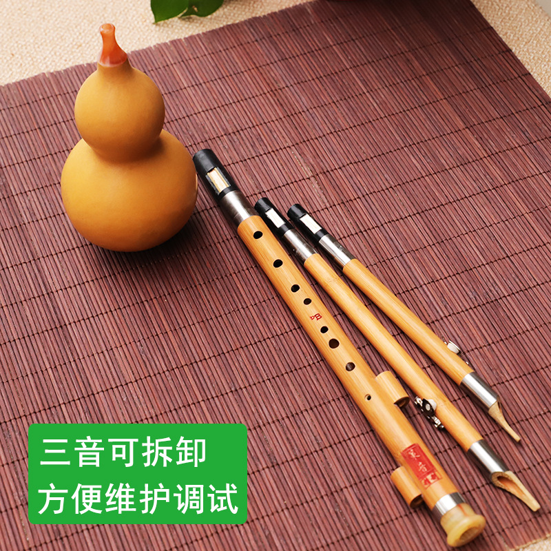 Nanzhu Kürbis-Seiden-Musikinst – Musical Instrument Blow Bewertung und Preis