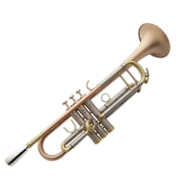 Der Hersteller Verkauft Kleine – Musical Instrument Manufacturers Bewertung und Preis