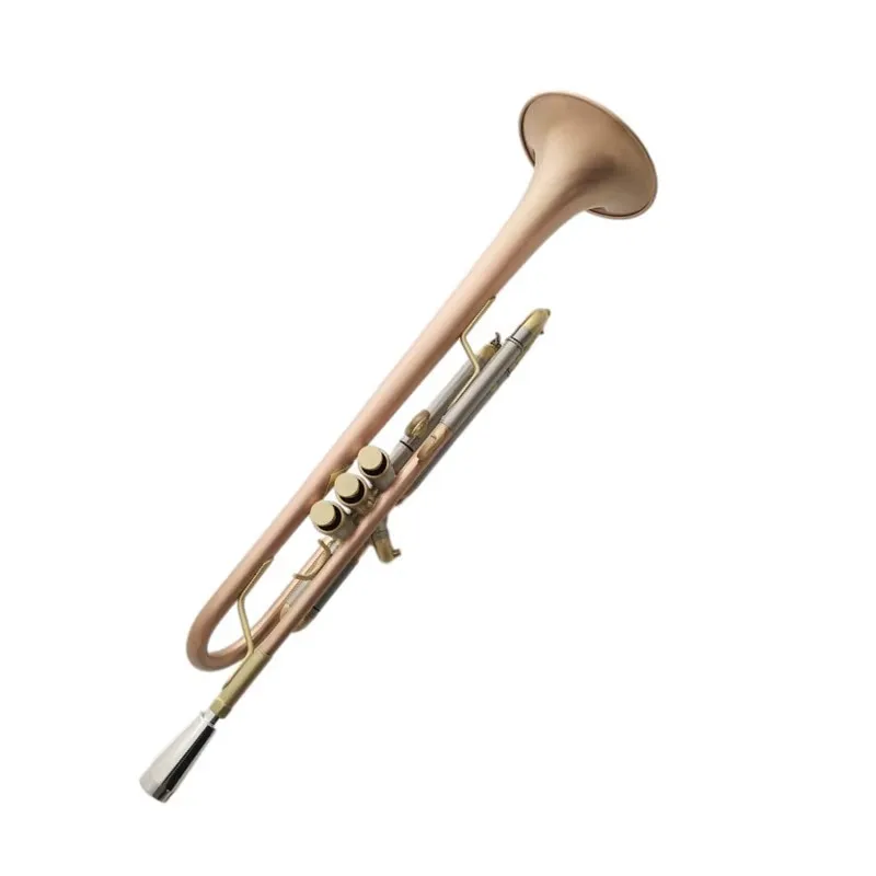 Der Hersteller Verkauft Kleine – Musical Instrument Manufacturers Bewertung und Preis