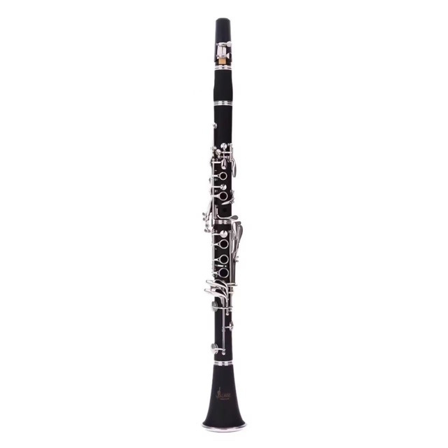Direkt vom Hersteller: B-Dur 1 – Musical Instrument Manufacturers Bewertung und Preis