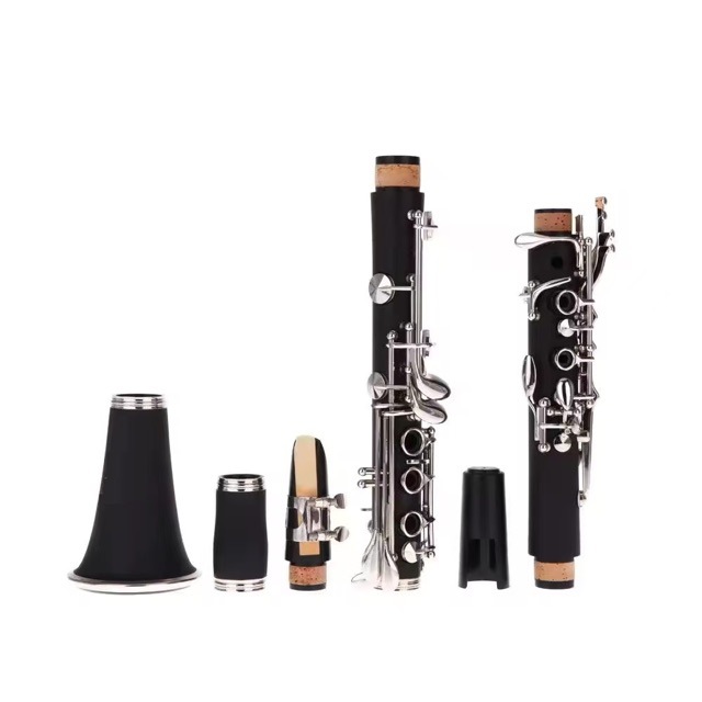 Direkt vom Hersteller: B-Dur 1 – Musical Instrument Manufacturers Bewertung und Preis